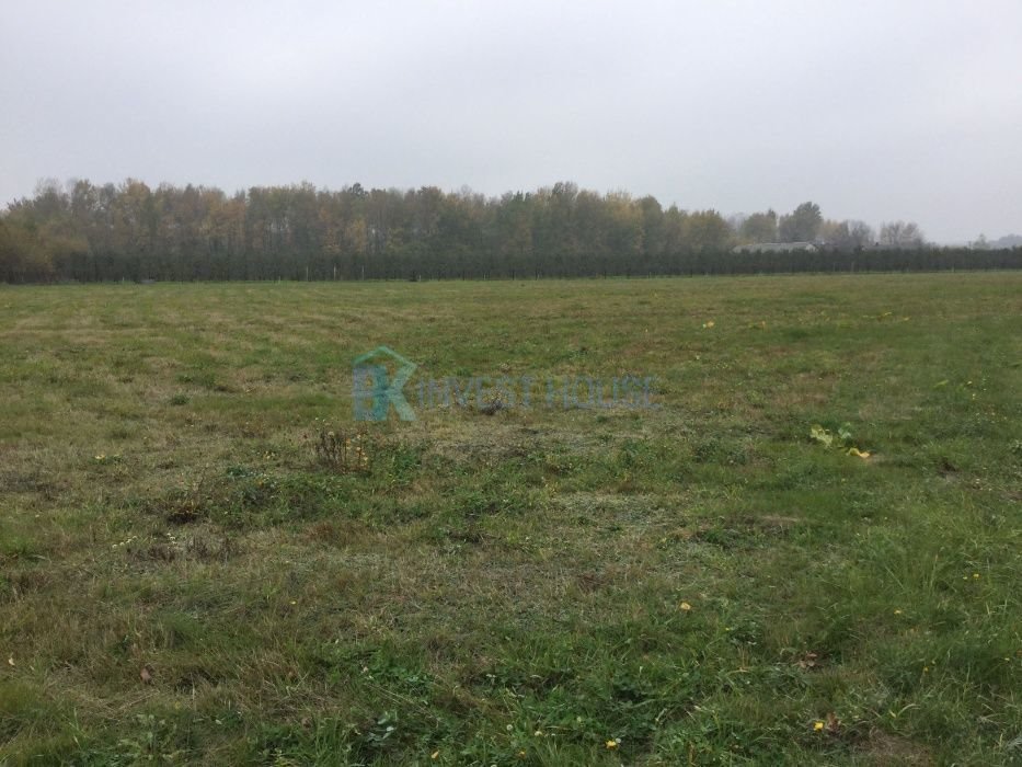 Działka rolna na sprzedaż Michrów-Stefów  9 300m2 Foto 2