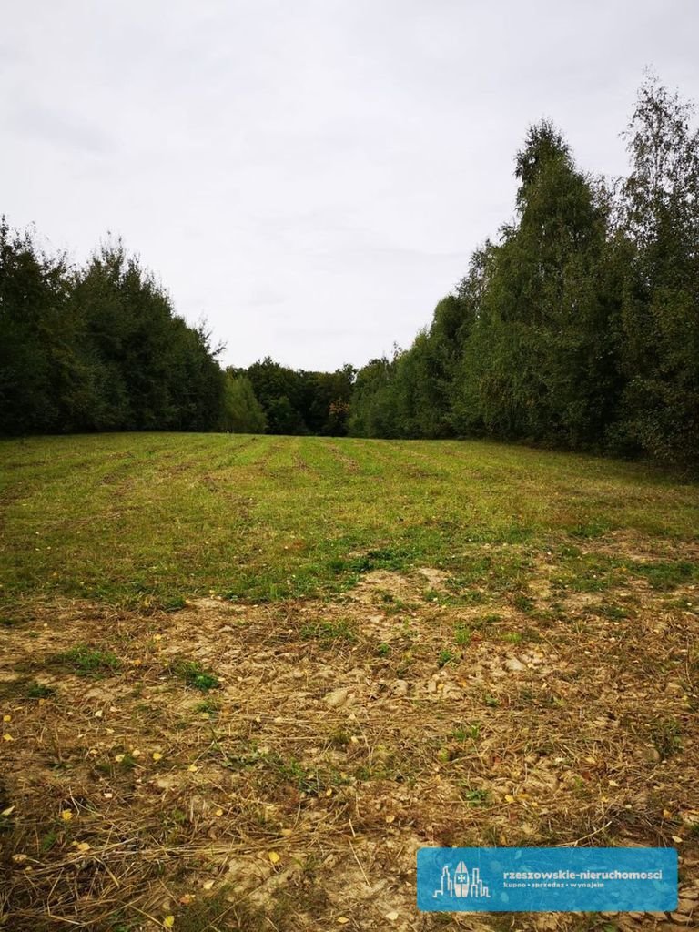 Działka budowlana na sprzedaż Malawa  4 900m2 Foto 1