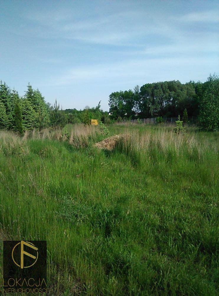 Działki budowlane pod lasem w Kaliszu, 2931 m2, media Kalisz  2 931m2 Foto 1