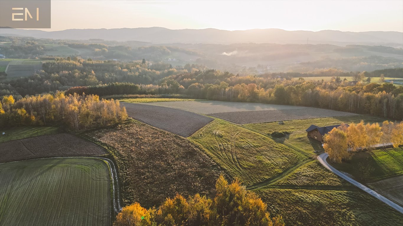 Działka budowlana na sprzedaż Gbiska  4 600m2 Foto 2