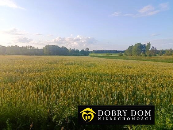 Działka 1 ha pod inwestycję z szybkim dostępem do Białegostoku Wasilków  10 000m2 Foto 1