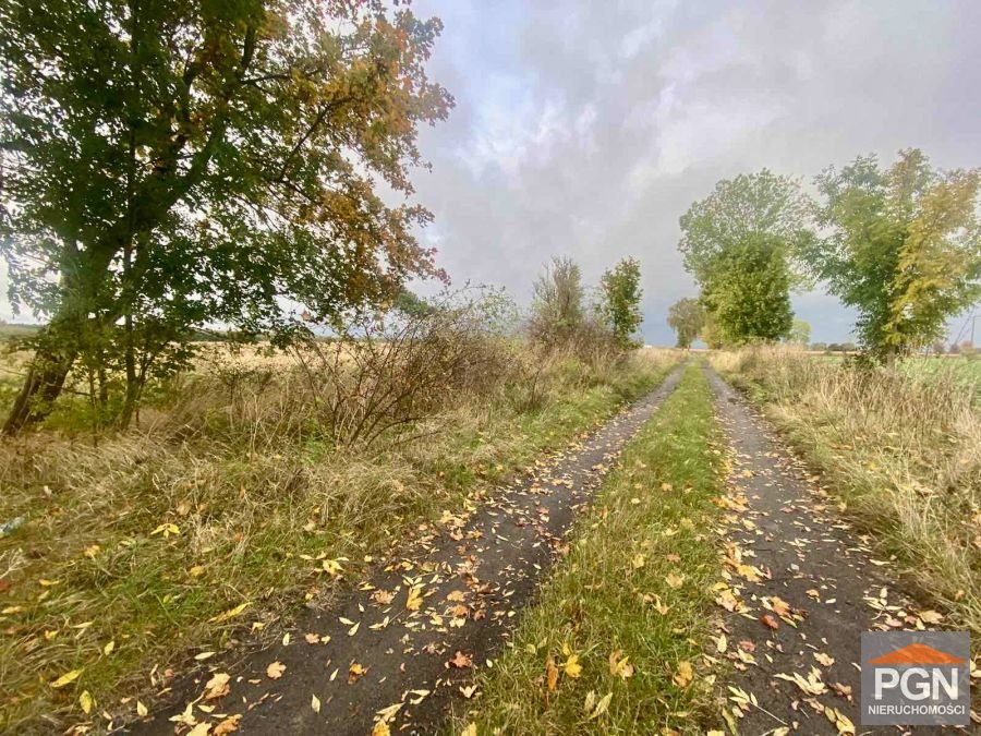 Działka 5936 m² pod inwestycję w Gryficach z własną studnią Gryfice, obrzeża  5 936m2 Foto 1