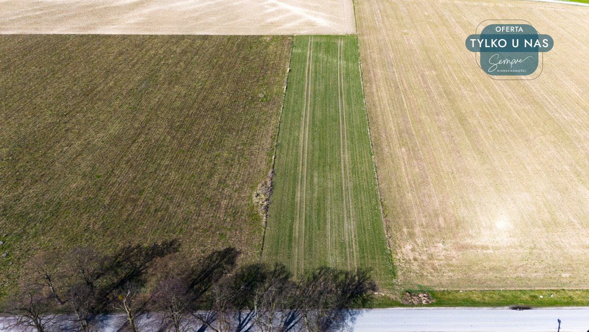 Działka rolna na sprzedaż Czarnocin, Juliusza Poniatowskiego  5 800m2 Foto 5