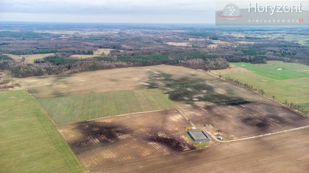 Działka inwestycyjna na sprzedaż Chociwel  500 000m2 Foto 1