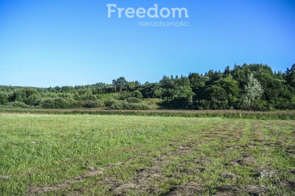 Działka budowlana na sprzedaż Bachów  7 900m2 Foto 3