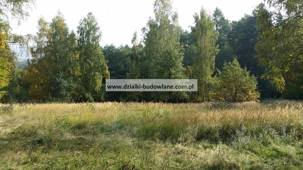 Działka rolna na sprzedaż Strzegomiany  2 586m2 Foto 1