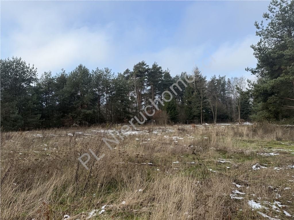 Działka budowlana na sprzedaż Kaleń  3 850m2 Foto 1