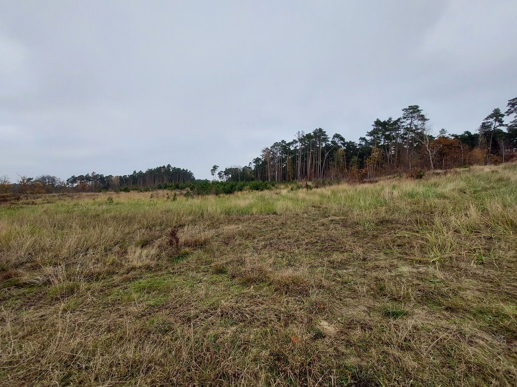 Działka budowlana na sprzedaż Izdebno  1 500m2 Foto 6