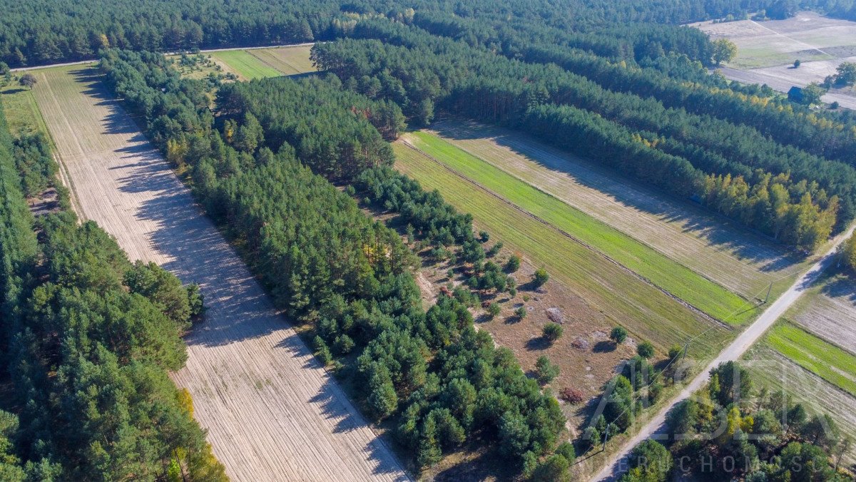 Działka rekreacyjna na sprzedaż Michałowo  9 500m2 Foto 3