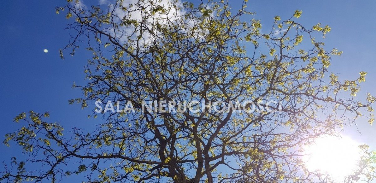 Działka 1362 m² pod zabudowę i usługi w Nowym Jasińcu Nowy Jasiniec  1 362m2 Foto 1