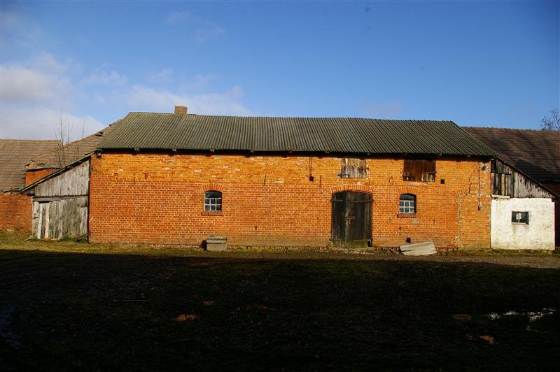 Zdjęcie 8
