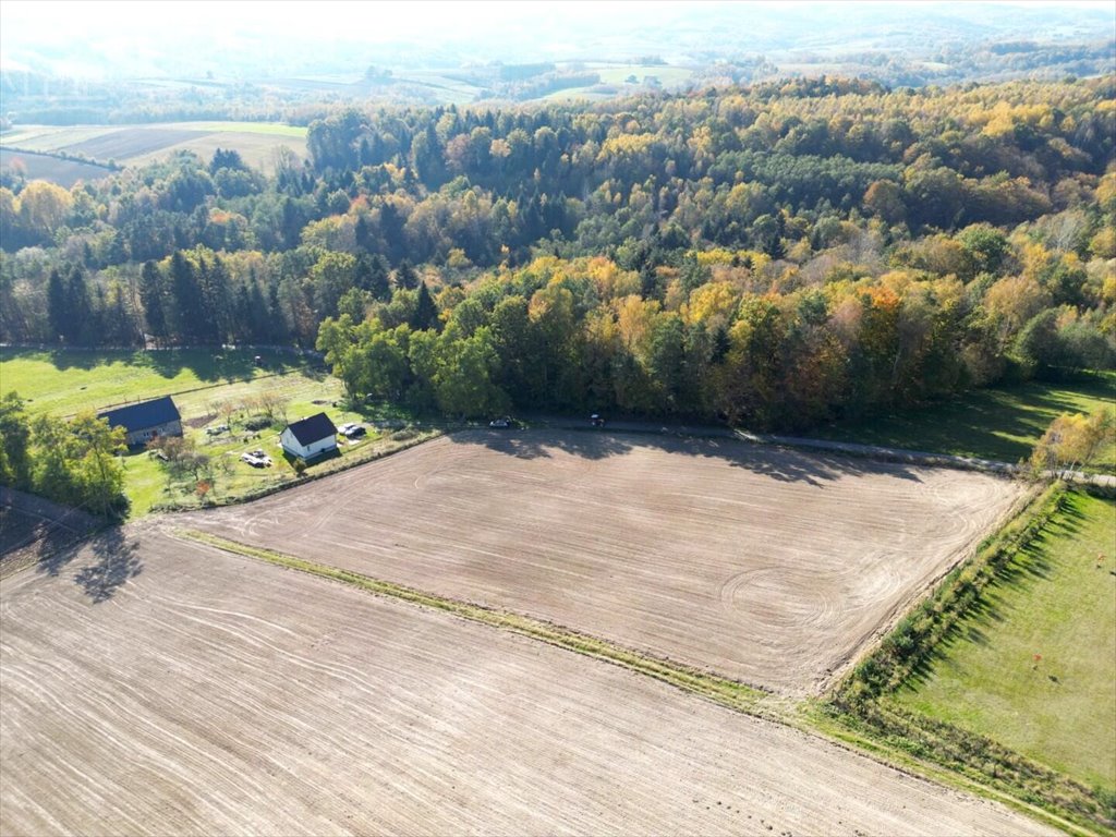 Działka budowlana na sprzedaż Błażkowa  2 200m2 Foto 14