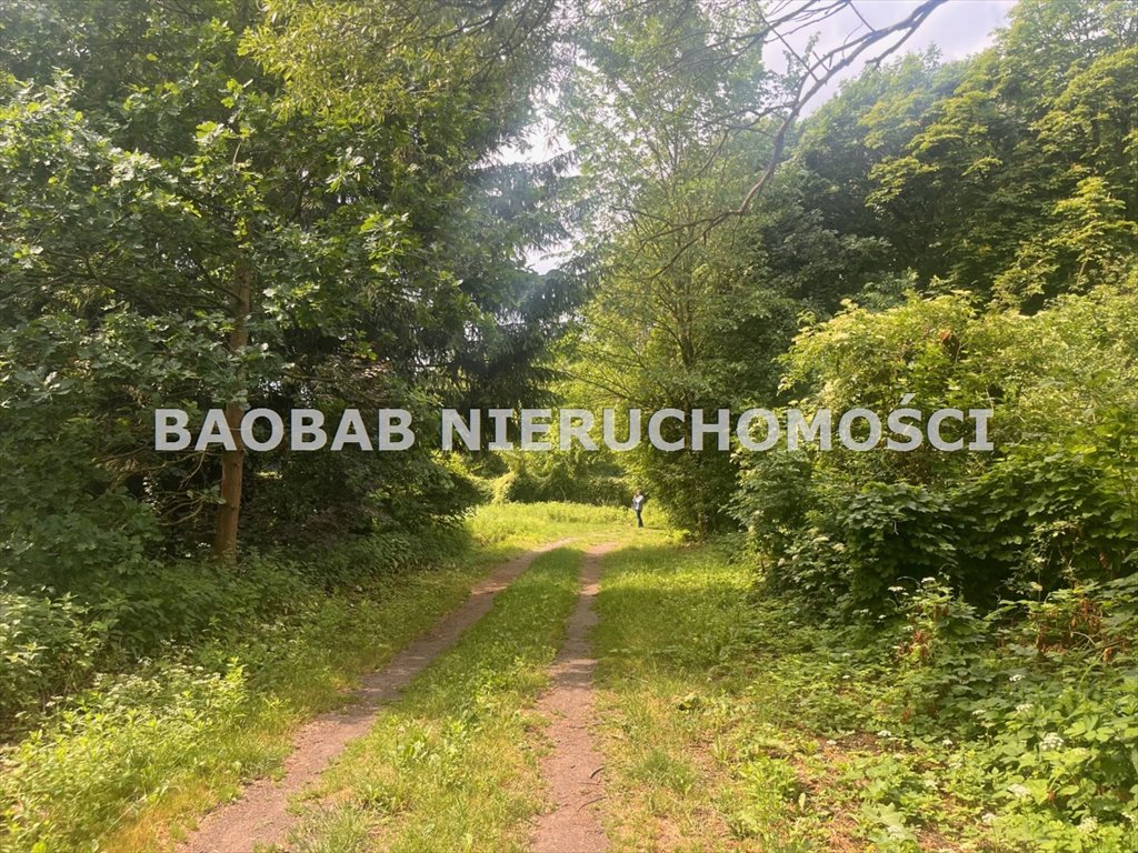 Działka budowlana na sprzedaż Łoś, Łoś, Sołecka  13 200m2 Foto 10