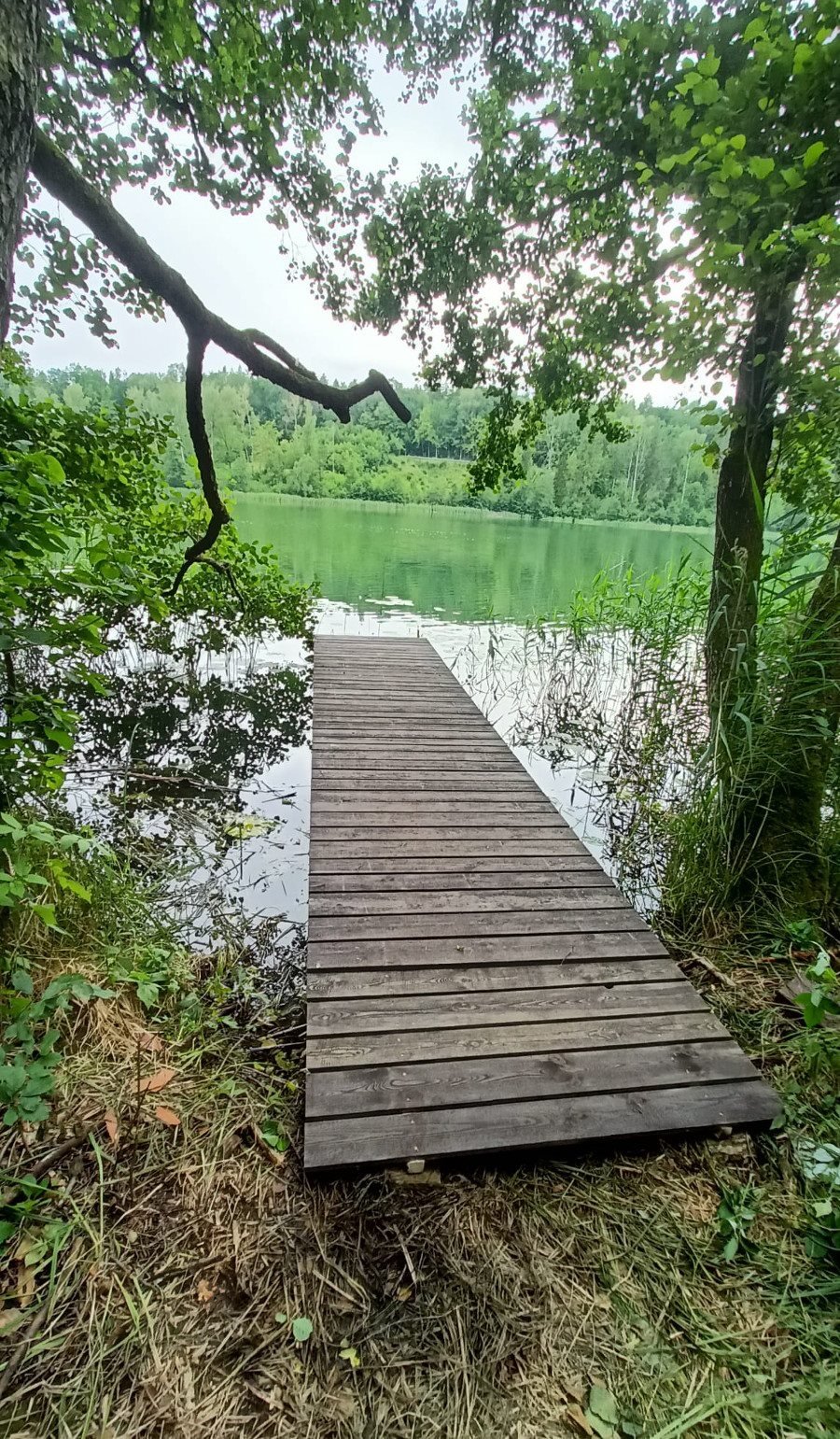 Działka inna na sprzedaż Danowo, Danowo  1 700m2 Foto 1