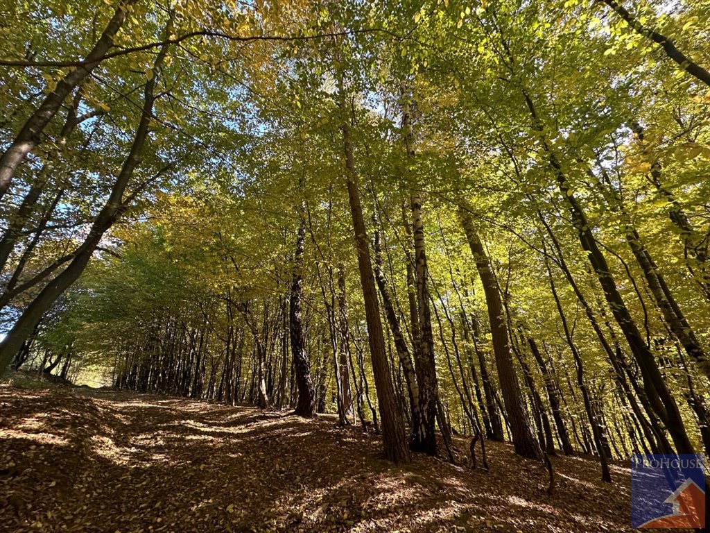 Działka budowlana na sprzedaż Młynne  21 444m2 Foto 4