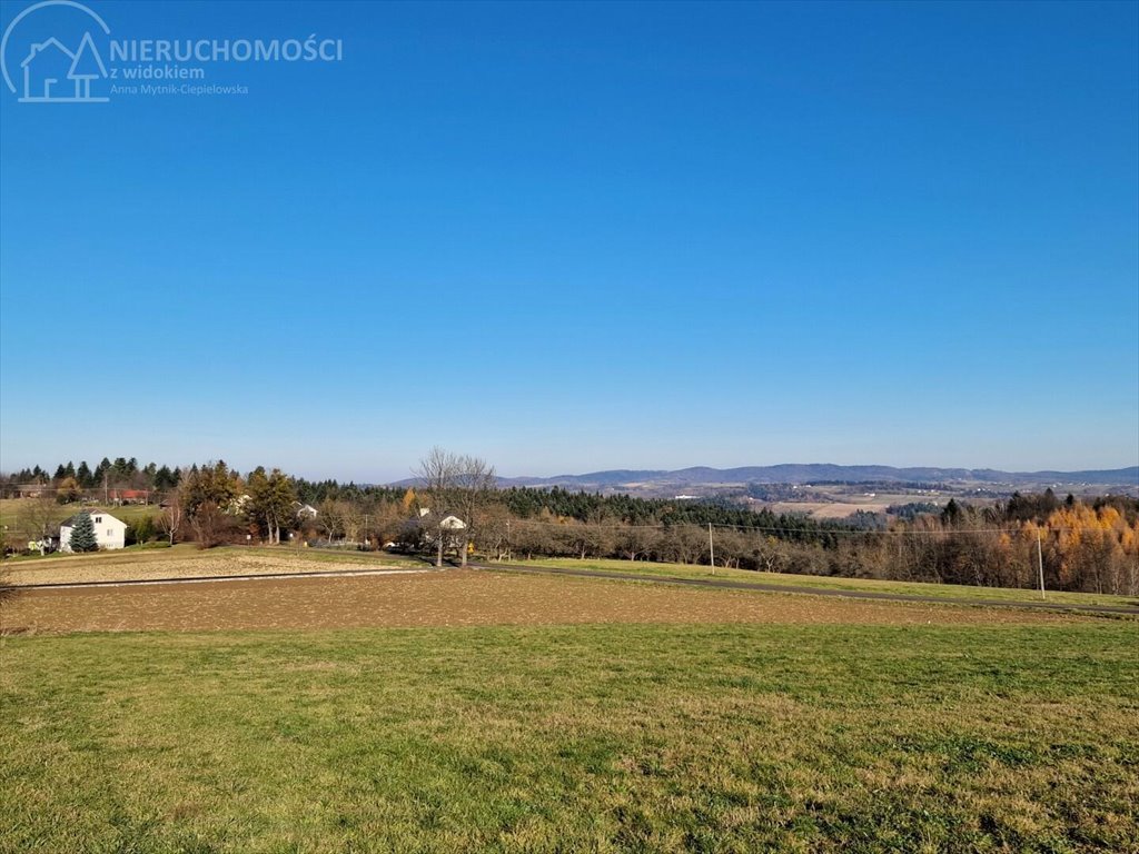 Działka budowlana na sprzedaż Turza  2 517m2 Foto 4