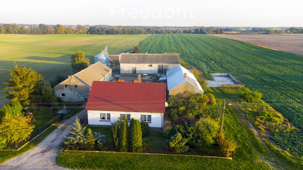 Działka budowlana na sprzedaż Kaliszany  16 000m2 Foto 7