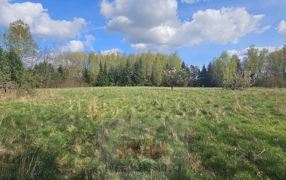 Działka budowlana na sprzedaż Pniewy  29 501m2 Foto 6