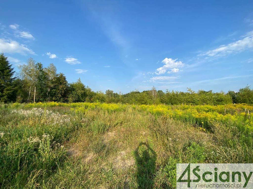 Działka budowlana na sprzedaż Żółwin  1 000m2 Foto 2