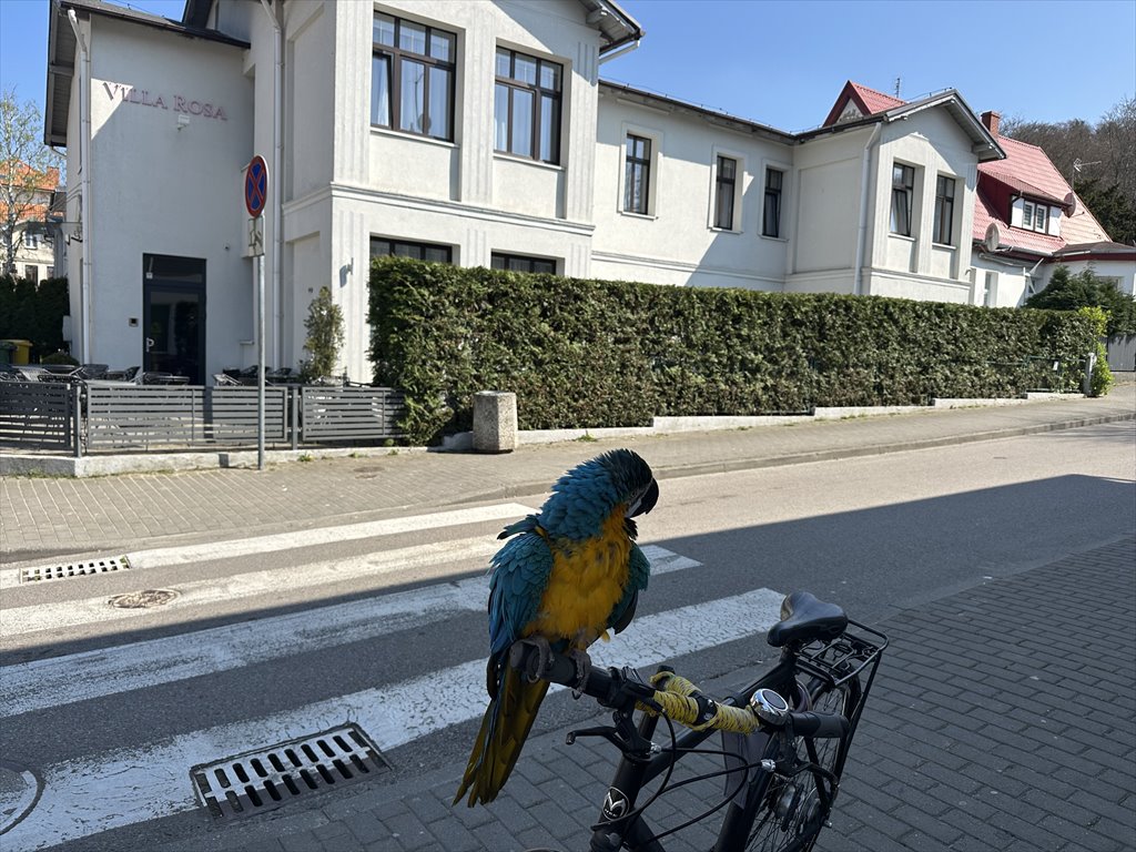 Lokal użytkowy na sprzedaż Międzyzdroje, Pomorska 2  350m2 Foto 1