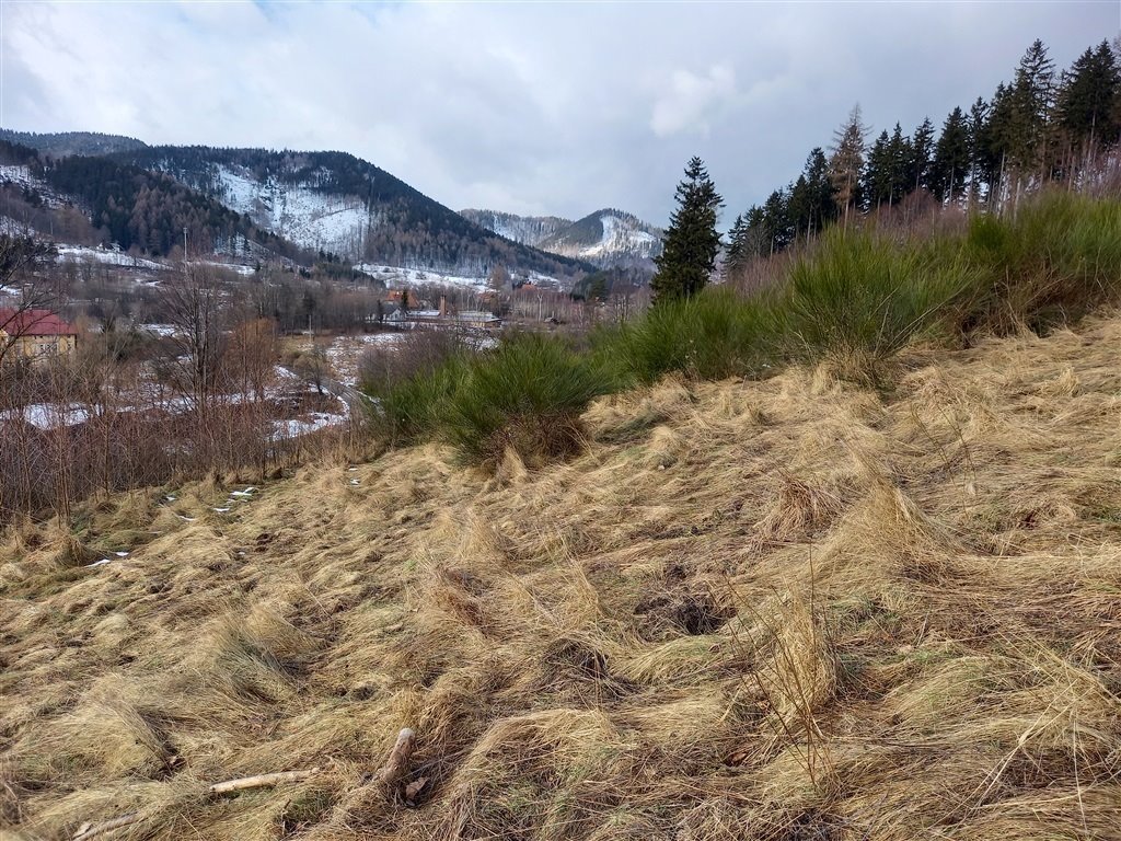 Dwie działki z panoramicznymi widokami w Glinicy, 4700 m² Jedlina-Zdrój, Glinica  4 700m2 Foto 1