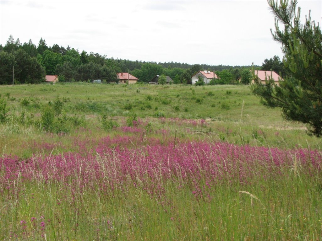 Działka budowlana na sprzedaż Barczewo, Łapka  1 936m2 Foto 7