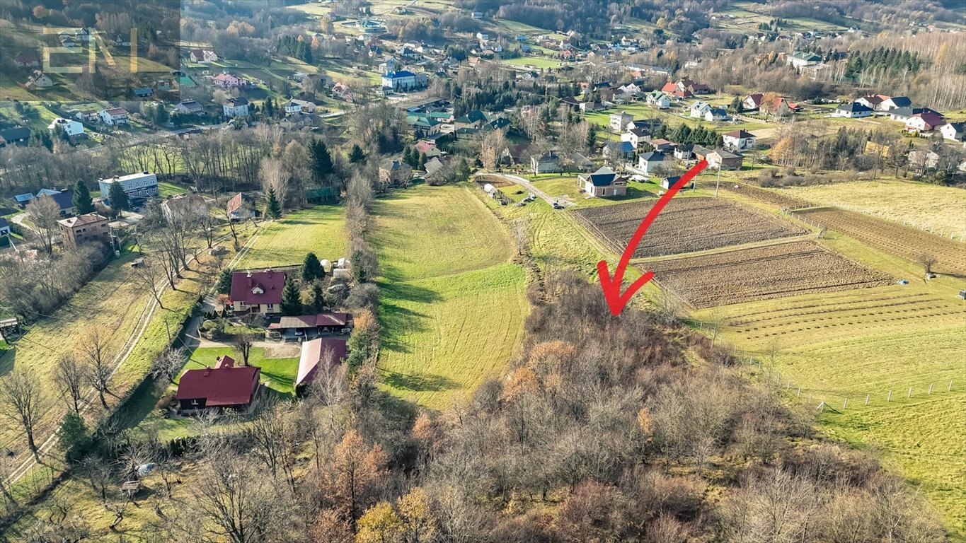 Działka budowlana na sprzedaż Lubenia  2 800m2 Foto 2