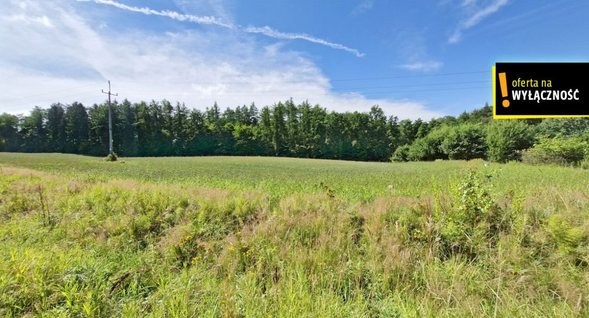 Działka rolna na sprzedaż Łęcze  66 300m2 Foto 2