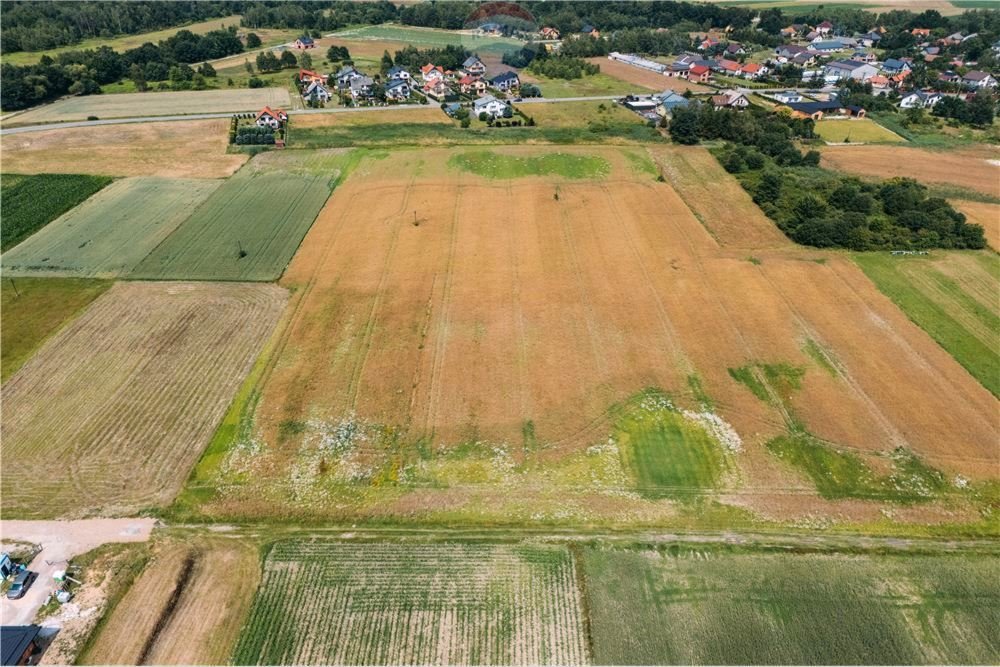 Działka siedliskowa na sprzedaż Kłokoczyn, Sarnia  3 012m2 Foto 3