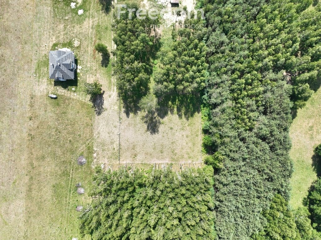 Działka rolna na sprzedaż Pilchy  1 571m2 Foto 10