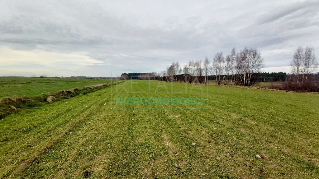 Duża działka 22 084 m² z lasem, media, blisko Warszawy Krze Duże  22 084m2 Foto 1