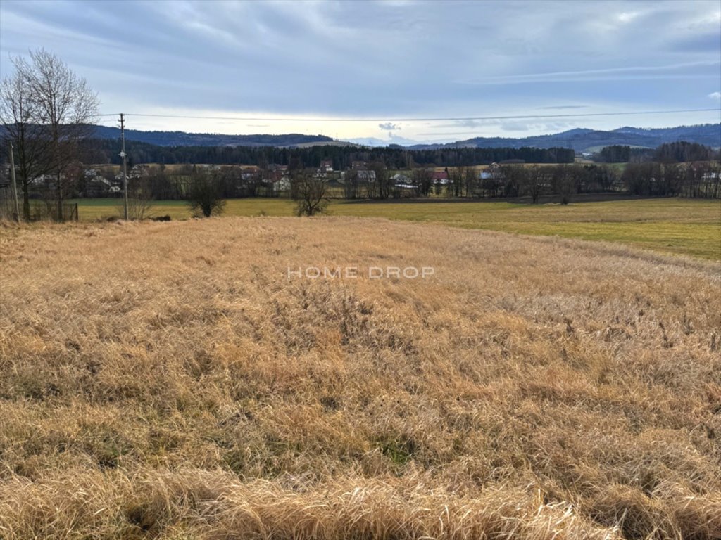 Działka budowlana na sprzedaż Skawa, Gubałówka  2 358m2 Foto 1