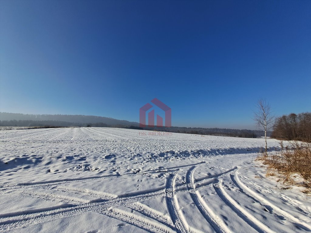 Działka budowlana na sprzedaż Żyznów  10 400m2 Foto 3