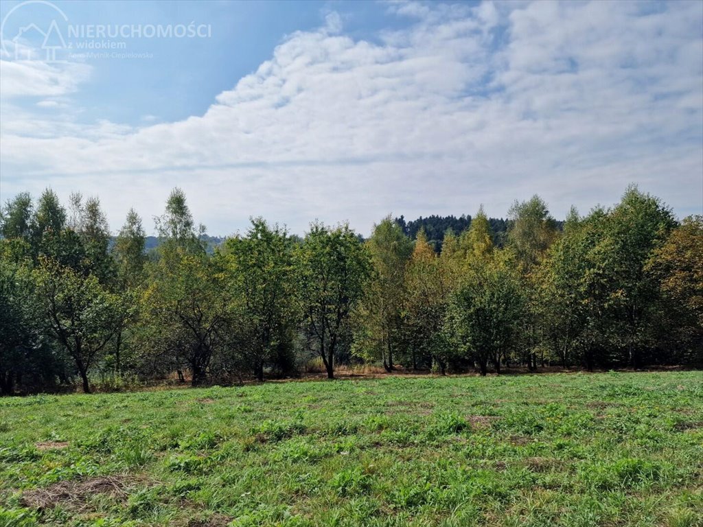 Działka budowlana na sprzedaż Tuchów  4 632m2 Foto 11