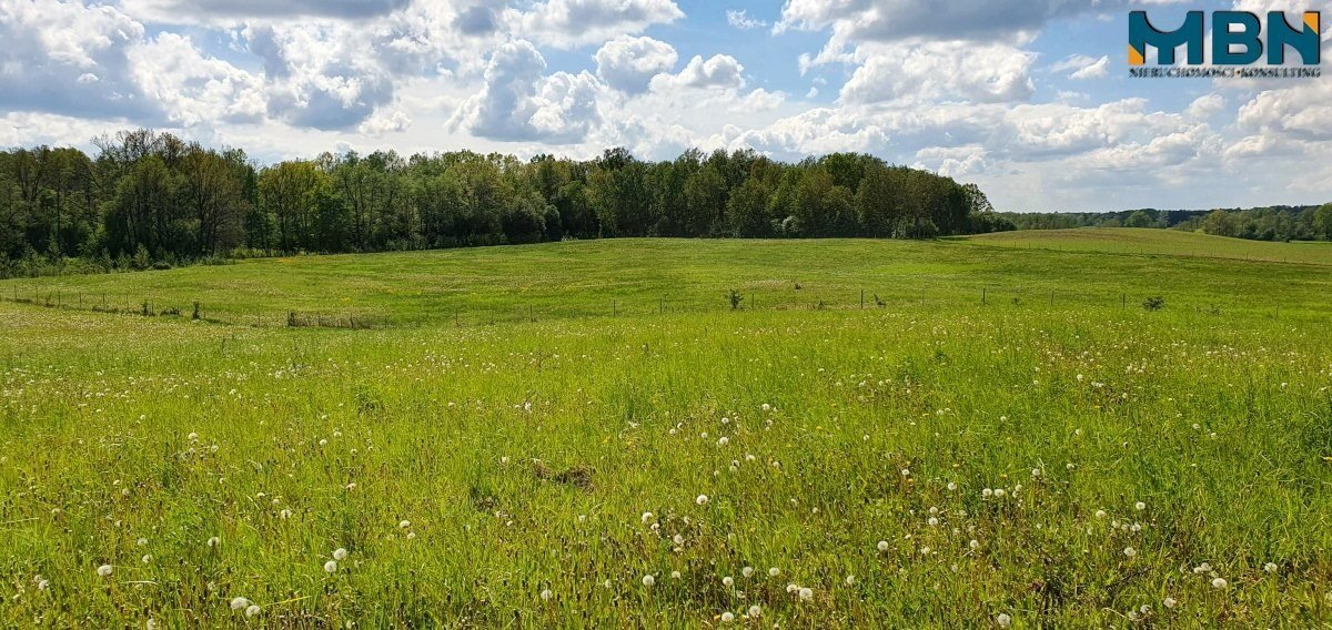 Działka inwestycyjna na sprzedaż Doba, Doba  35 031m2 Foto 17