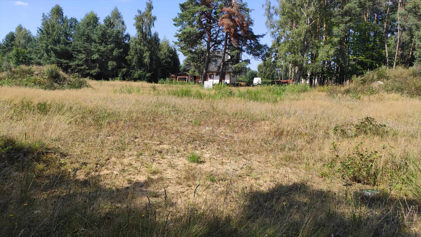 Działka leśna z prawem budowy na sprzedaż Głobino, Przy Lesie  6 200m2 Foto 15