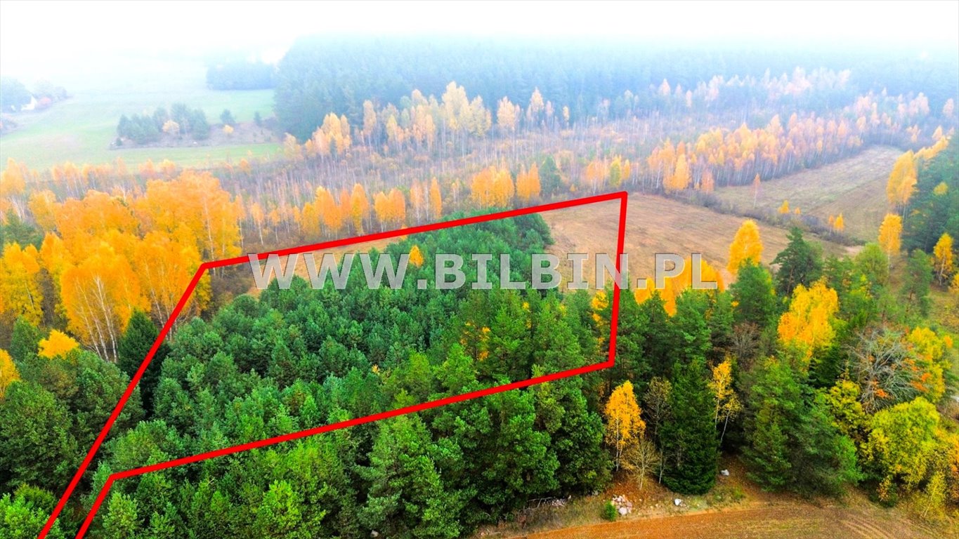 Działka pod siedlisko z jeziorami, 12 046 m2, Sejny Berżałowce  12 046m2 Foto 1