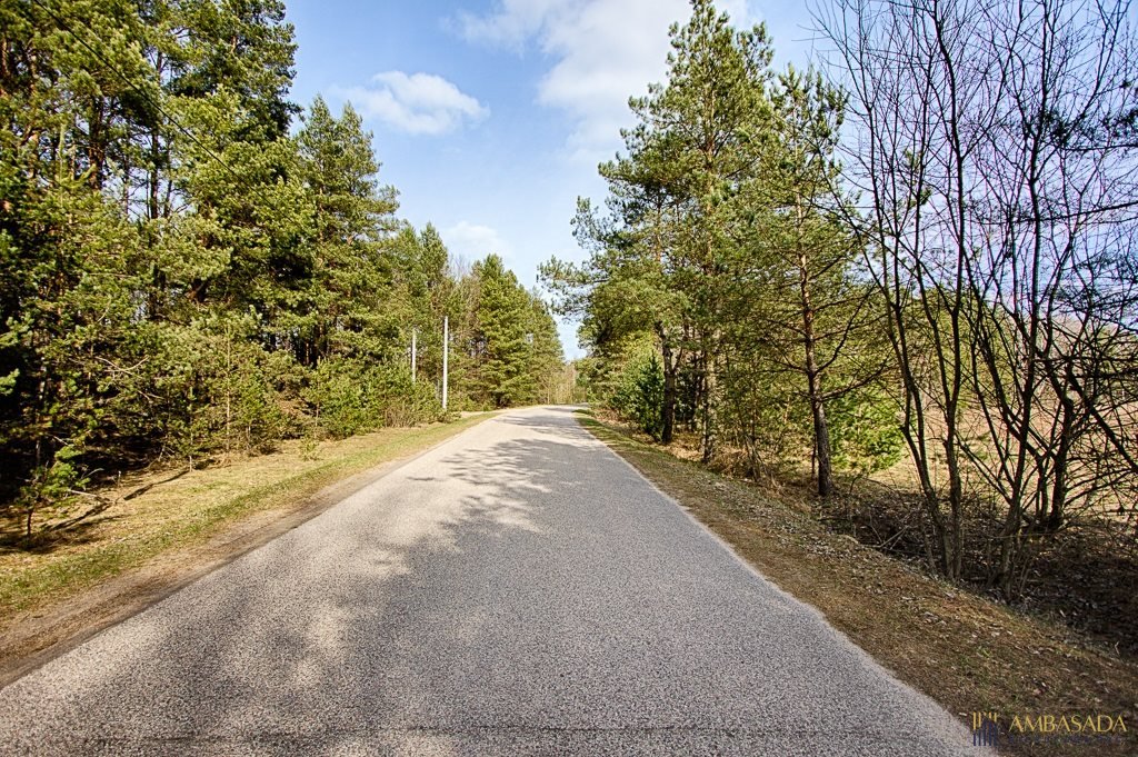 Działka inna na sprzedaż Zarzeczany  3 000m2 Foto 5