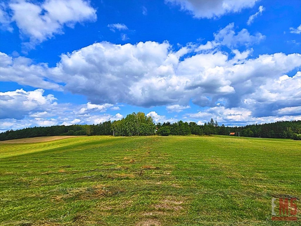 Działka inna na sprzedaż Olsztynek  2 625m2 Foto 3