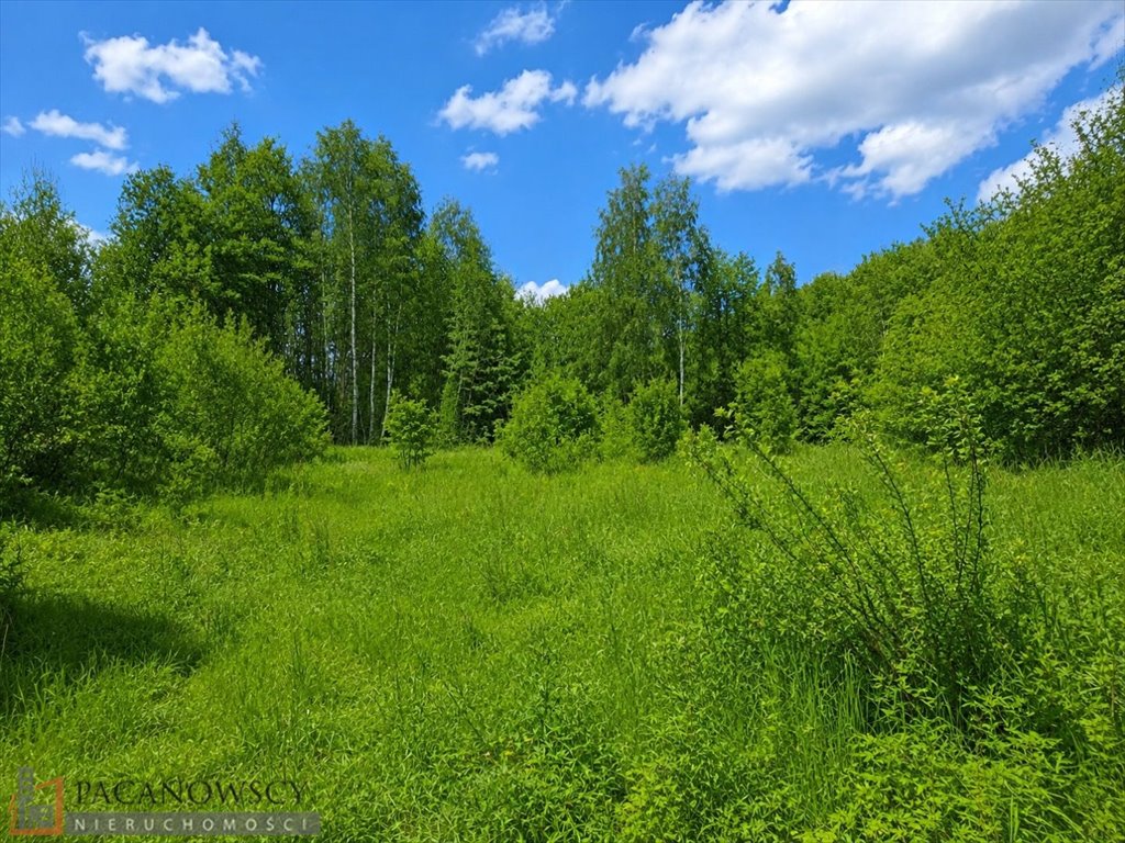 Działka budowlano-rolna 16,39 ara z mediami w spokojnej okolicy Szczodrkowice  1 639m2 Foto 1