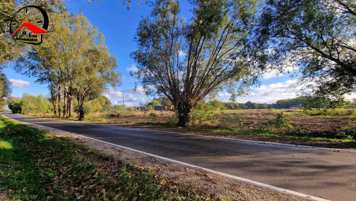 Działka budowlana na sprzedaż Łojewo  1 000m2 Foto 13