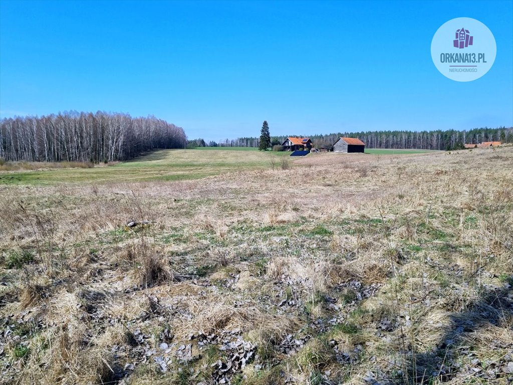 Działka budowlana na sprzedaż Biesówko, Biesówko  5 771m2 Foto 3
