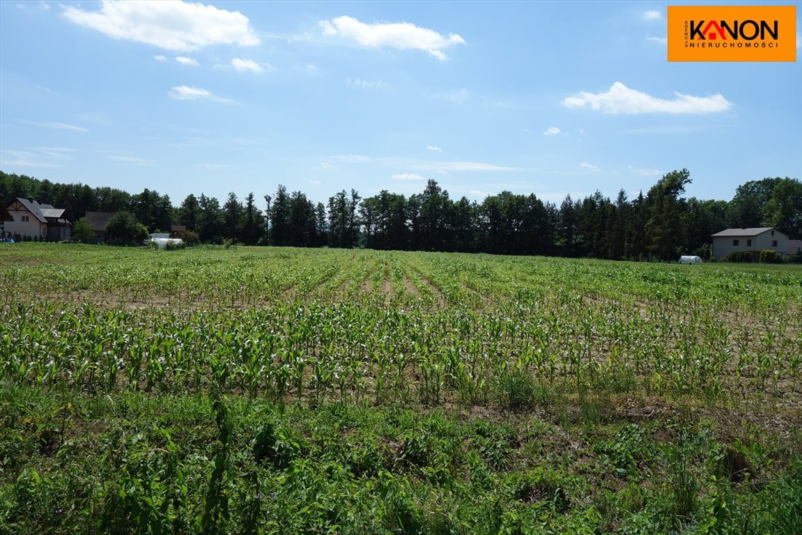 Działka budowlana na sprzedaż Ochaby Wielkie  32 000m2 Foto 6