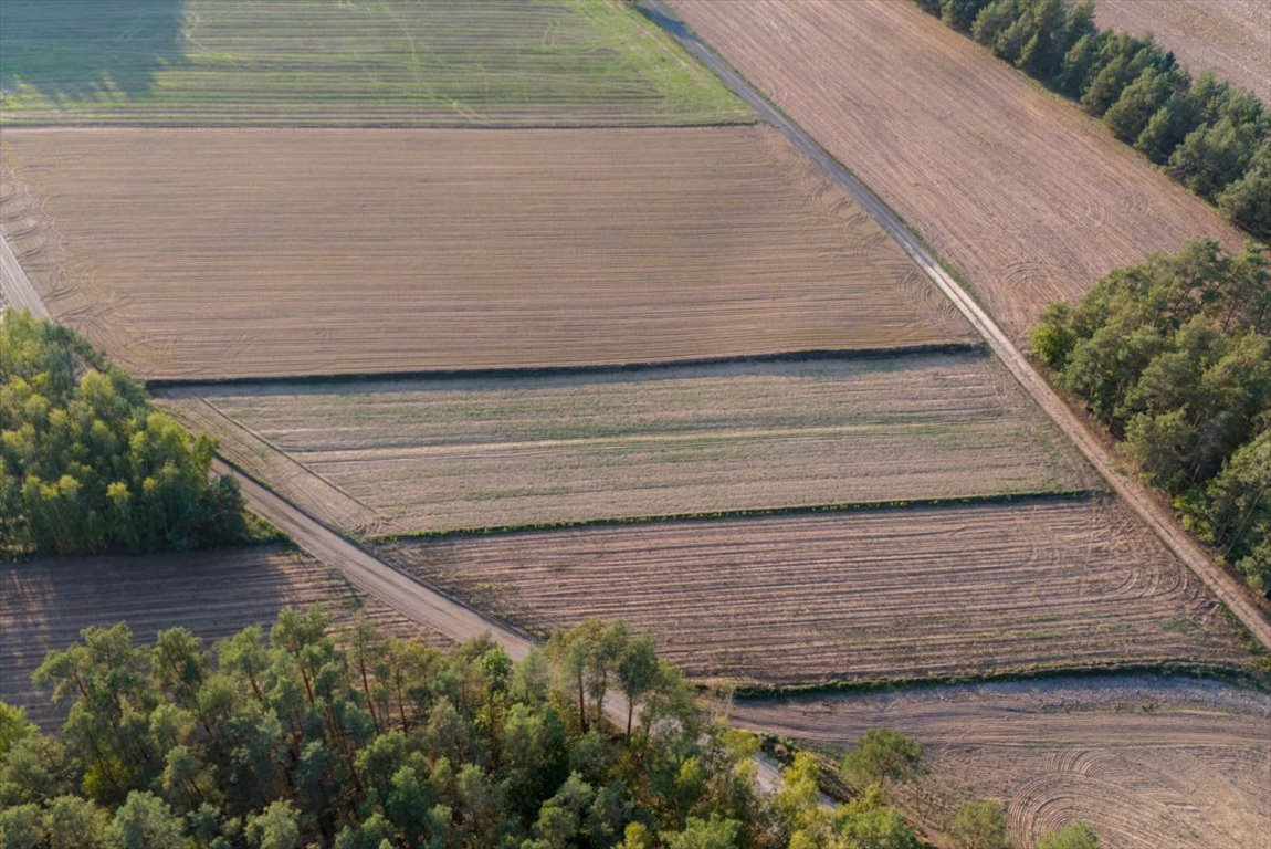 Działka rolna na sprzedaż Jesionka  2 800m2 Foto 5