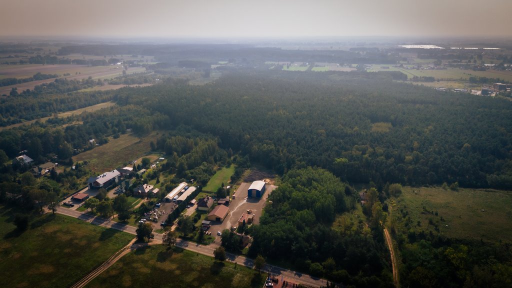 Działka budowlana na sprzedaż Poddębice, Partyzantów  1 018m2 Foto 7