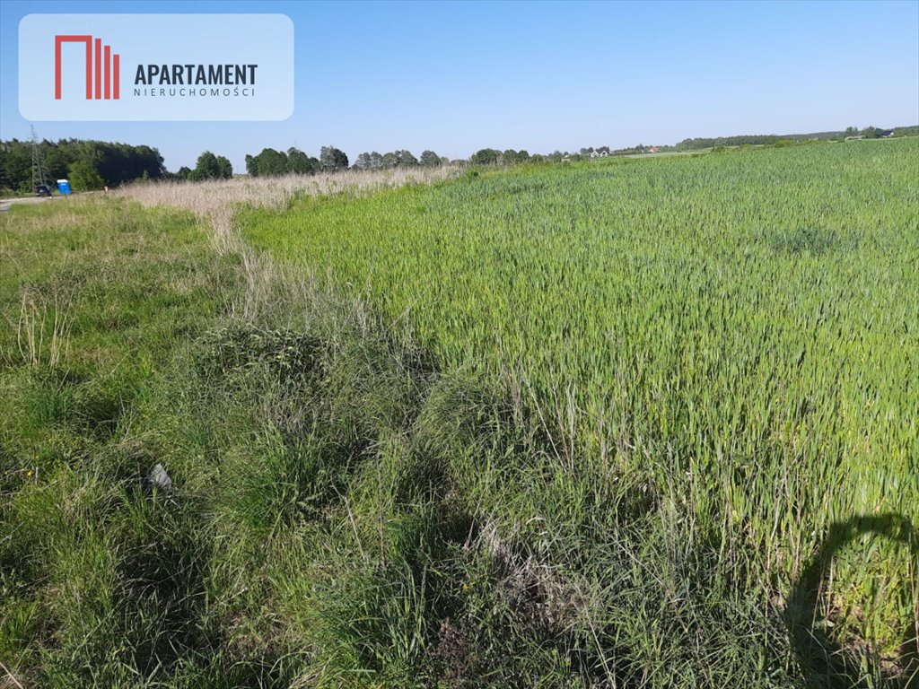 Działka budowlana na sprzedaż Rokocin, Diamentowa  1 000m2 Foto 5