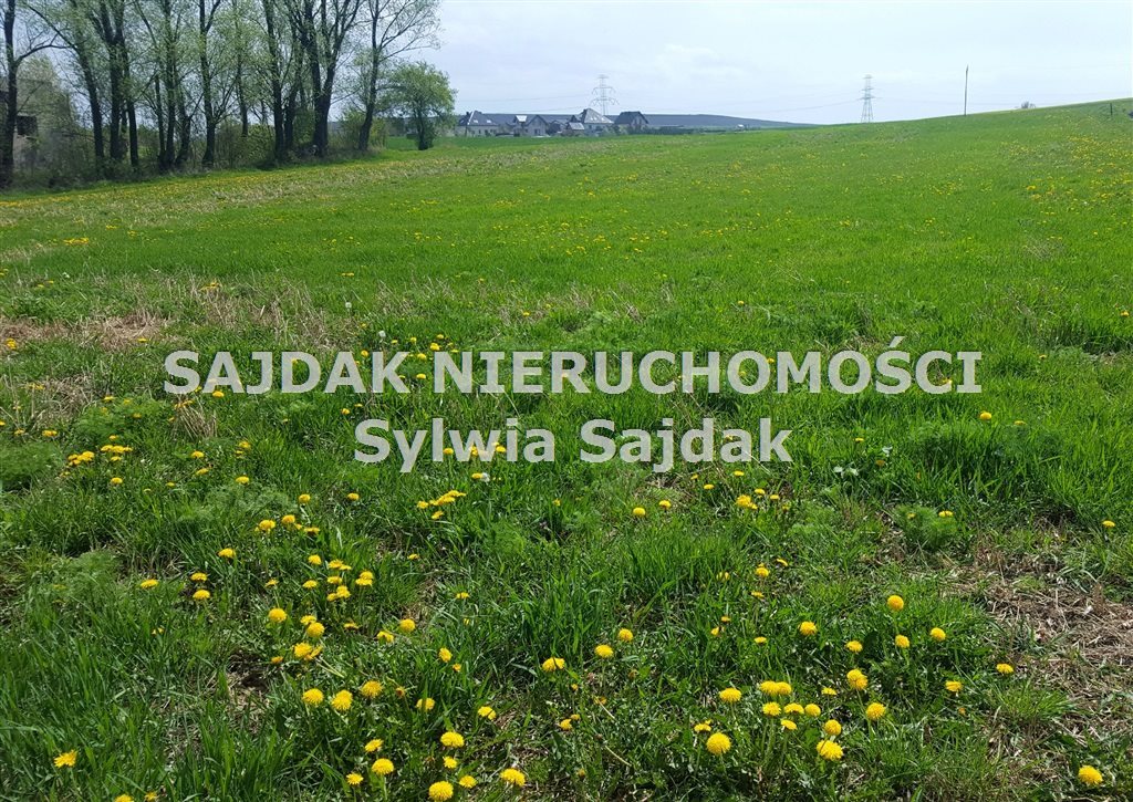 Działka budowlana na sprzedaż Jastrzębie-Zdrój, Szeroka 1 126m2 Foto 1 Działka budowlana na sprzedaż Jastrzębie-Zdrój, Szeroka 1 126m2 Foto 1