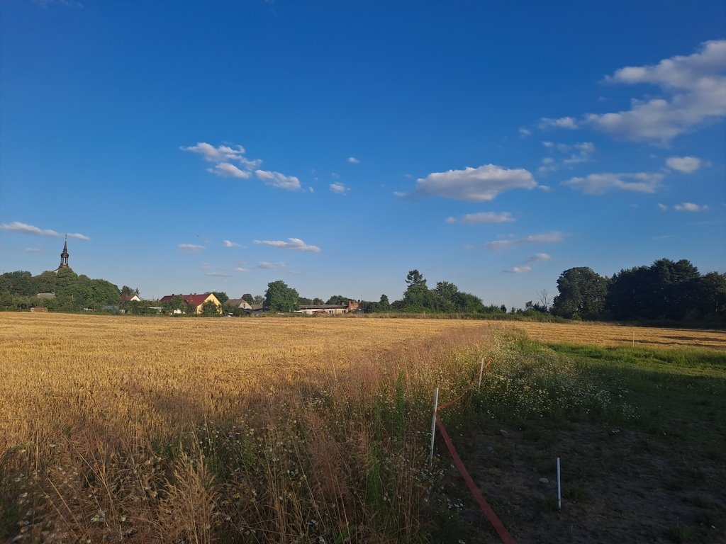 Działka budowlana na sprzedaż Biezdrowo  3 162m2 Foto 6