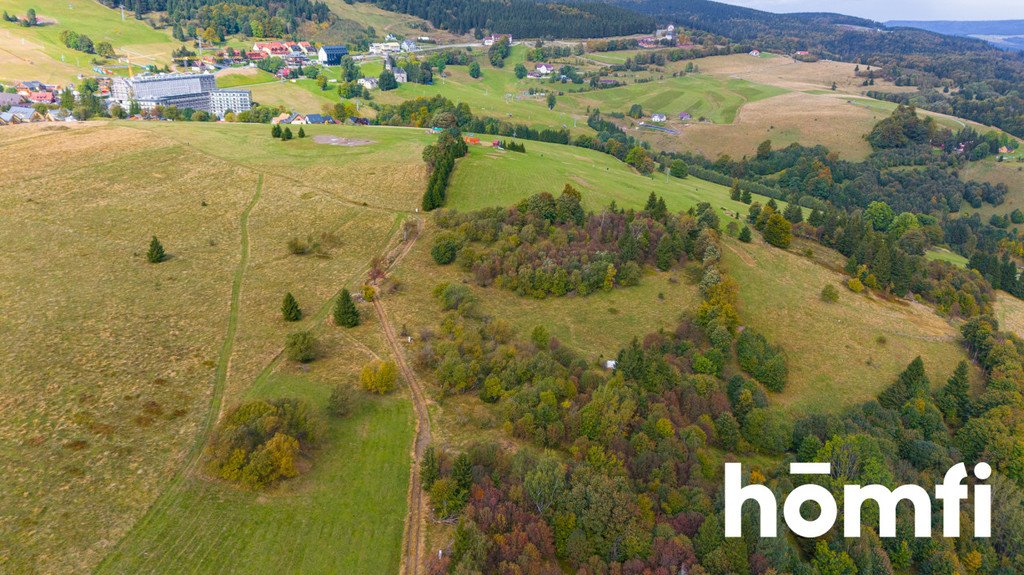 Działka budowlana na sprzedaż Duszniki-Zdrój, Zieleniec, Zieleniec  4 300m2 Foto 4