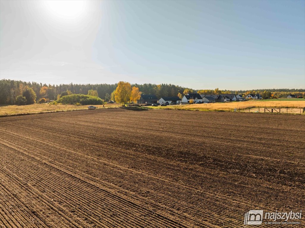 Działka rolna na sprzedaż Goleniów, Podańsko  1 030m2 Foto 12